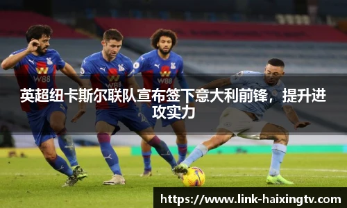 海星体育直播